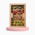 Box Kanapeczek Koktajlowych