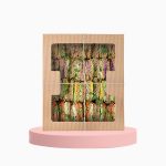 Club Sandwich Box